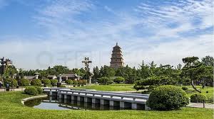 2026美加墨世界杯官网 崇明园林绿化有限公司招聘