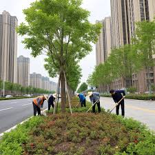 2026美加墨世界杯官网 太行红河谷绿化工程